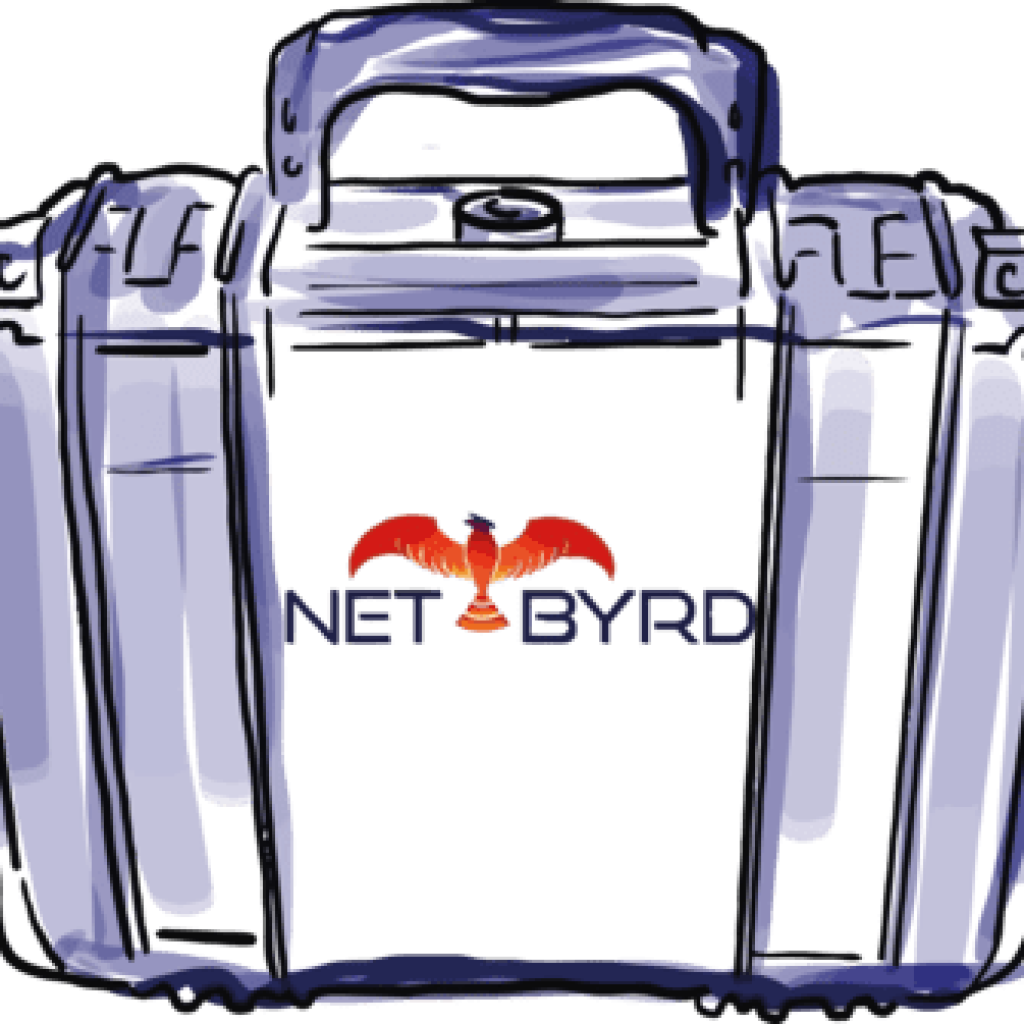 NetByrd case in sketch format