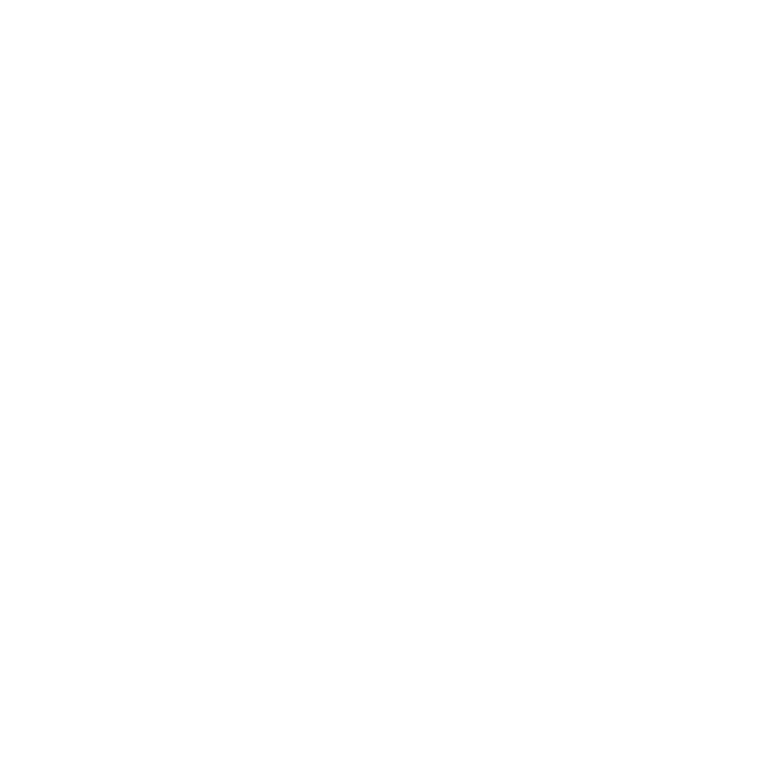 Логотип Voleatech VTAIR (белый)