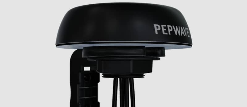 Pepwave Antenna