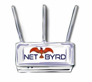 Sketch of a NetByrd router