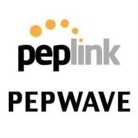 Peplink logo square